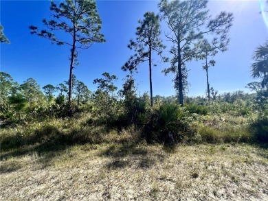This lot offers a very nice opportunity to build your dream home - photo 3