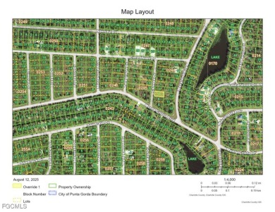 This lot offers a very nice opportunity to build your dream home - photo 5