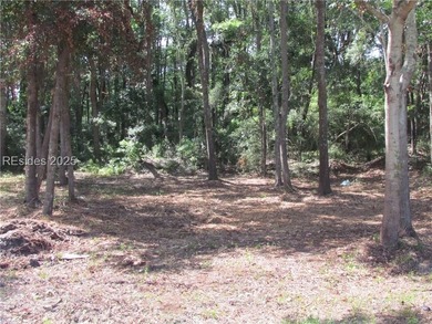 1.23 acres in the town of Port Royal with 495 ft of highway - photo 2
