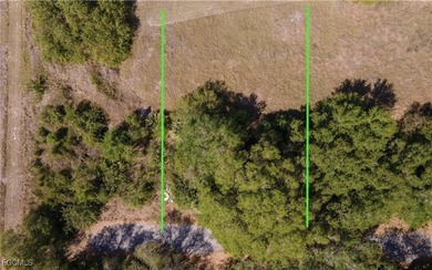 Lehigh Acres Area Lot For Sale in Lehigh Acres Florida