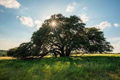 Norco Ranch West is a pristine river property located near the - photo 21