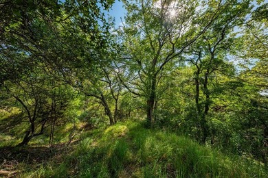 Norco Ranch West is a pristine river property located near the - photo 28