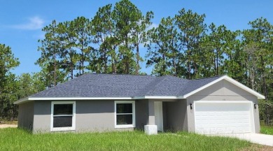 Lake Home For Sale in Dunnellon, Florida