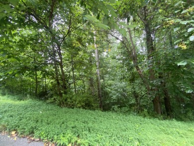 Lake Lot For Sale in Maynardville, Tennessee