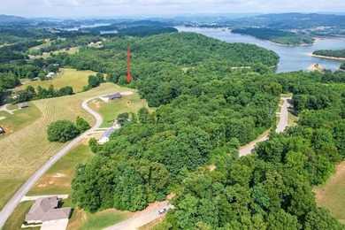 Cherokee Lake Lot For Sale in Russellville Tennessee