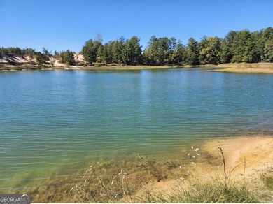 (private lake, pond, coastal) Acreage For Sale in Junction City Georgia