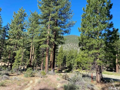 In the heart of the Sierra, where 1,576 unspoiled acres create a - photo 3