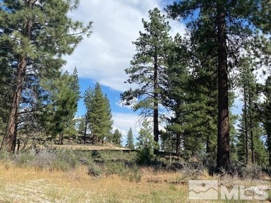In the heart of the Sierra, where 1,576 unspoiled acres create a - photo 4