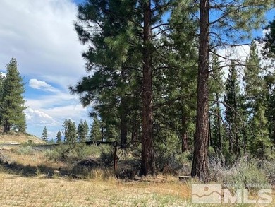 In the heart of the Sierra, where 1,576 unspoiled acres create a - photo 5