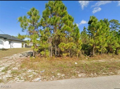 Lehigh Acres Area Lot For Sale in Lehigh Acres Florida