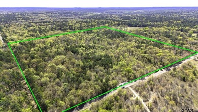 Set on almost 60 acres of lush woodland, this East Texas tract - photo 1