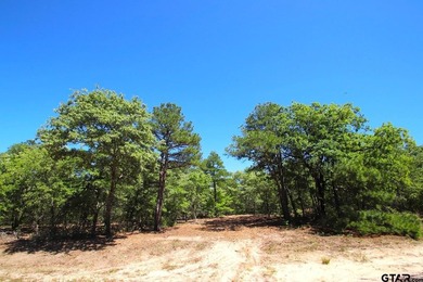 Set on almost 60 acres of lush woodland, this East Texas tract - photo 2