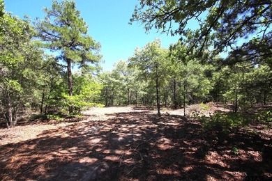 Set on almost 60 acres of lush woodland, this East Texas tract - photo 3
