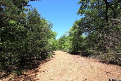 Set on almost 60 acres of lush woodland, this East Texas tract - photo 4