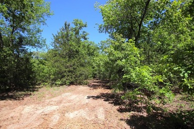 Set on almost 60 acres of lush woodland, this East Texas tract - photo 5