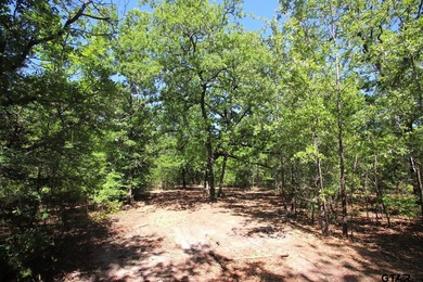 Set on almost 60 acres of lush woodland, this East Texas tract - photo 6