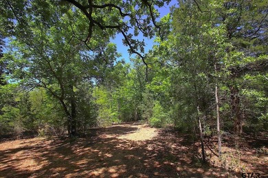 Set on almost 60 acres of lush woodland, this East Texas tract - photo 7