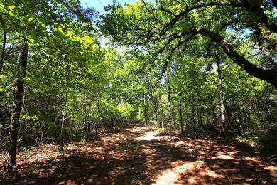 Set on almost 60 acres of lush woodland, this East Texas tract - photo 8