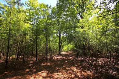 Set on almost 60 acres of lush woodland, this East Texas tract - photo 9