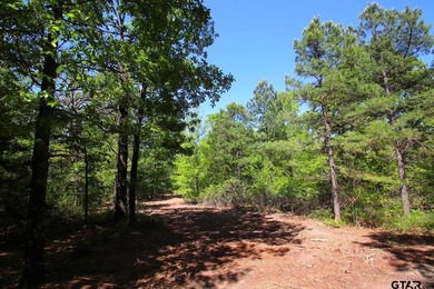 Set on almost 60 acres of lush woodland, this East Texas tract - photo 10