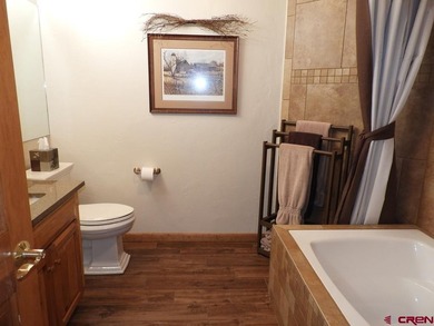 Todd R Schroedel, United Country Sneffels Realty, C:,,: This - photo 24
