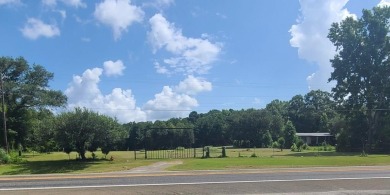 Lake Sam Rayburn  Acreage For Sale in Zavalla Texas