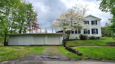 Lake Home For Sale in Waterloo, New York