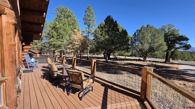 Todd R Schroedel, United Country Sneffels Realty, C:,,: This - photo 41