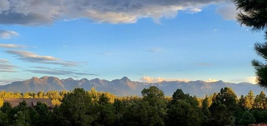 Todd R Schroedel, United Country Sneffels Realty, C:,,: This - photo 42