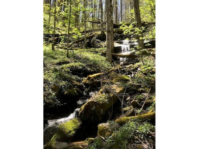 (private lake, pond, coastal) Acreage For Sale in Waynesville North Carolina