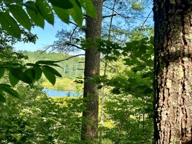 Lake Lot For Sale in Hayesville, North Carolina