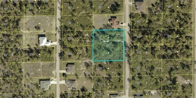 Lehigh Acres Area Lot For Sale in Lehigh Acres Florida