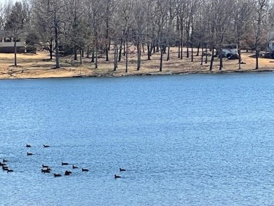 Crown Lake Lot For Sale in Horseshoe Bend Arkansas