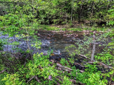 This leased cabin in located in TROUGH CREEK STATE PARK where - photo 27