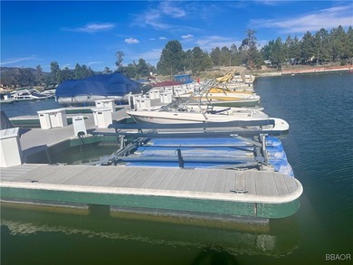 WELCOME TO THE WONDERFUL WORLD OF PRIVATE DOCK OWNERSHIP AT PINE - photo 4