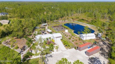 (private lake, pond, creek) Home For Sale in Deleon Springs Florida