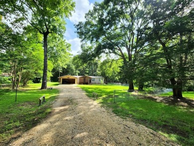 Lake Home For Sale in Hemphill, Texas