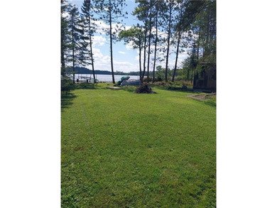 Pleasant Lake - St. Louis County Home For Sale in Fayal Twp Minnesota