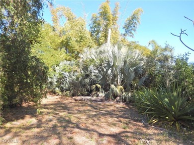 Tropical Oasis in the MIDDLE of Everything? YES!! ALL PUBLIC - photo 2