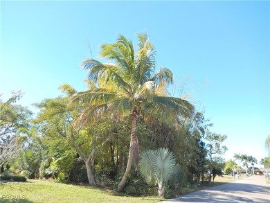 Tropical Oasis in the MIDDLE of Everything? YES!! ALL PUBLIC - photo 3