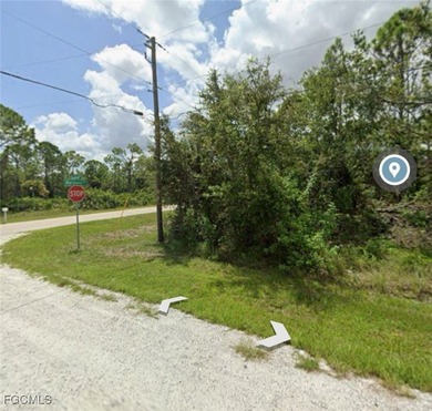 Don't miss out on this incredible opportunity! With no HOA, deed - photo 1