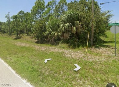 Don't miss out on this incredible opportunity! With no HOA, deed - photo 3