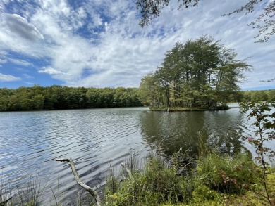 Lake Lot For Sale in Dunlap, Tennessee