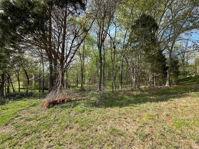 Two residential lots, perfect for building one or two custom - photo 3
