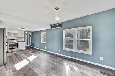 This beautifully renovated mobile home in Homosassa offers a - photo 16