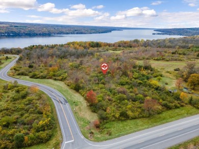 Cayuga Lake Acreage For Sale in Ithaca New York