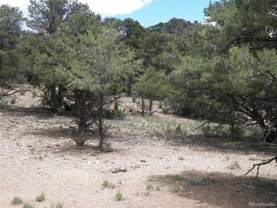 19.69 acres with spectacular views of the Sangre de Cristo - photo 22