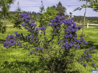 Live your best country life on 2+ acres, with all the basics for - photo 38