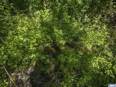 Live your best country life on 2+ acres, with all the basics for - photo 47