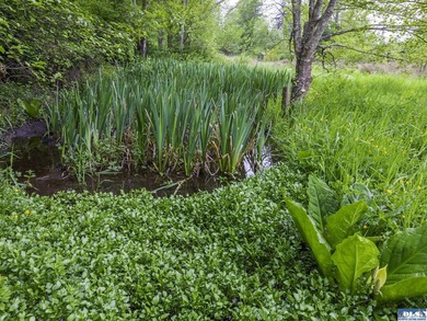 Live your best country life on 2+ acres, with all the basics for - photo 50